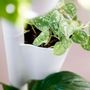 Other smart objects - SMART Self-Watering Vertical Planter compatible with Alexa or Google Assist - CITYSENS