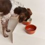 Pet accessories - Bone White Ceramic Dog Bowl, Bole - CAFIDE PETS S.L.