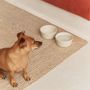 Accessoires animaux - Handmade in Portugal Ceramic Dog Bowl, Bole - CAFIDE PETS S.L.