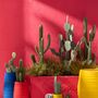 Decorative objects - Mexican Fiesta - J-LINE BY JOLIPA
