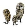 Decorative objects - Owl - TERRE SAUVAGE
