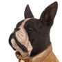 Decorative objects - Dog bust 27 cm - DUTCH STYLE