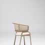 Armchairs - Frantz 881 - LIVONI 1895