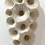 Unique pieces - KAOLONG - KAO - VERO REATO - ORGANIC MINERAL