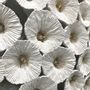 Unique pieces - KAOLONG - KAO - VERO REATO - ORGANIC MINERAL