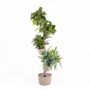Vases - Smart Vertical Planter - CITYSENS