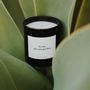 Candles - Candle Quote Collection - CANDLY&CO.