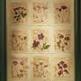 Decorative objects - Handmade herbarium table. - OFFICINA NATURALIS