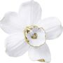 Other wall decoration - Wall Decoration Orchid White 24x25cm - KARE DESIGN GMBH