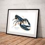 Affiches - Affiche Le Homard - Reproduction sur papier d'art - VAREK ILLUSTRATIONS