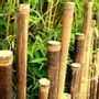 Outdoor decorative accessories - Natural black bamboo fence from the Japanese range - Ref: 5-JBF - BAMBOULAND