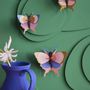 Other wall decoration - Butterflies & Beetles - STUDIO ROOF