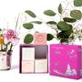 Soaps - Set of 4 scented cubic soaps in a Toiles de Jouy pink box - SENTEURS DE FRANCE