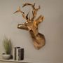 Objets de décoration - Support Antler Head - MALABAR