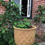 Flower pots - PINEAPPLE PLANTER - CAPITAL GARDEN PRODUCTS LTD