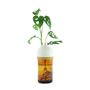 Floral decoration - The TOT'EXTRA amber - Autonomous totem plant (XS) - TOT'