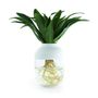 Floral decoration - The TOT'PERFECT white - Autonomous totem plant (M) - TOT'