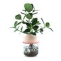 Floral decoration - Le TOT'GRANDIOSE salmon - Autonomous totem plant (L) - TOT'