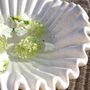 Decorative objects - Shell-shaped bowl - CHIC ANTIQUE A/S