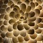 Appliques - Mezza Luce - ZigZag - BARBARA BILLOUD