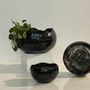 Decorative objects - Wavy Lips Vase - NATURE'S LEGACY