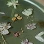 Floral decoration - Green resin metal coffee table with natural orchids - SI DECO