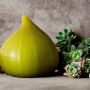 Objets design - Grande bougie parfumée aux figues 4 kg - SI DECO