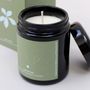 Gifts - Blue Fields Aromatherapy Candle - Calming - MAP