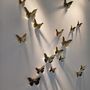Decorative objects - BUTTERFLY - FUORILUOGO CHROME DESIGN