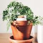 Accessoires de jardinage - Olla Hydratante - Blanc grainé - PEPIN