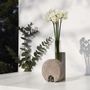 Vases - Cochlea della Metamorfosi n°2, grey glass and stone vase for flowers - COKI