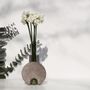 Vases - Vase à fleurs gris en verre et pierre, Cochlea della Metamorfosi n°2 - COKI