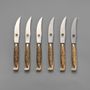 Couverts & ustensiles de cuisine - Ensemble de couteaux à steak avec manche en bronze, 6 pièces - EAGLADOR