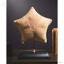 Decorative objects - Our collection of starfish - OBJET DE CURIOSITÉ
