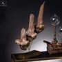 Objets de décoration - Notre collection de fossiles. - OBJET DE CURIOSITÉ