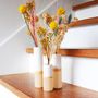 Objets de décoration - Vases Labo - STUDIO ROSAROOM