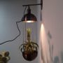 Decorative objects - Our collection of wall lamps - OBJET DE CURIOSITÉ
