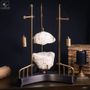 Decorative objects - Our collection of scientific objects - OBJET DE CURIOSITÉ