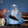 Decorative objects - Our collection of sea fans - OBJET DE CURIOSITÉ