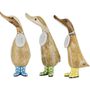 Gifts - DCUK Ducklings With Spotty Welly Boots - DCUK