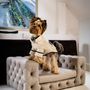 Design objects - GLAMOUR High-end Dog Sofa - PET EMPIRE