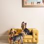 Objets design - GLAMOUR Canapé élégant pour chien - PET EMPIRE