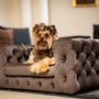 Accessoires animaux - Canapé haut de gamme pour chien, GLAMOUR - PET EMPIRE