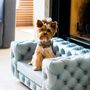 Accessoires animaux - Canapé de luxe pour chien GLAMOUR - PET EMPIRE