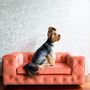 Design objects - ROYAL Pet Furniture - PET EMPIRE