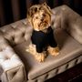 Design objects - ROYAL Luxury Dog Sofa Bed - PET EMPIRE