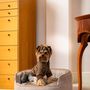 Pet accessories - YIN YANG Luxury Dog Basket - PET EMPIRE