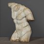 Sculptures, statuettes et miniatures - Le Gladiateur - ATELIERS C&S DAVOY