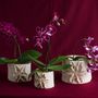 Vases - Vase cachepot orchidée série en porcelaine et or - ATELIER LE MOTIF