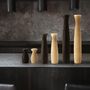 Kitchen utensils - GIRO Pepper and Salt mill in solid carved Ashwood - LEGNOART
